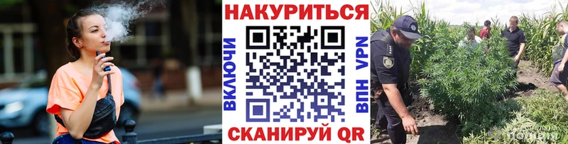 ссылка на мегу маркетплейс  купить  сайты  Городовиковск  МАРИХУАНА ГИДРОПОН 